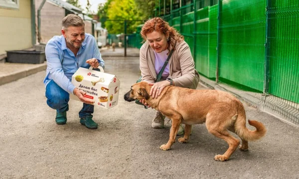 «Моспитомец» подготовил подарки для горожан, взявших животных из приютов «Моспитомец» подготовил подарки для горожан, взявших животных из приютов