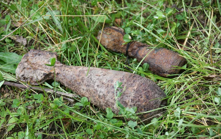 Снаряды времен Великой Отечественной войны нашли в Подмосковье Снаряды времен Великой Отечественной войны нашли в Подмосковье