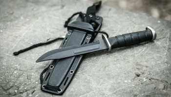 Прокуратура организовала проверку после нападения на школьника в Подмосковье