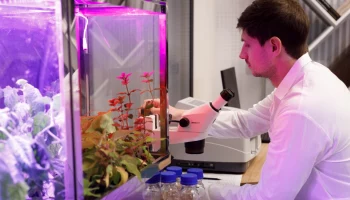 Заммэра Сергунина подвела итоги года работы московского кластера &laquo;Ломоносов&raquo;