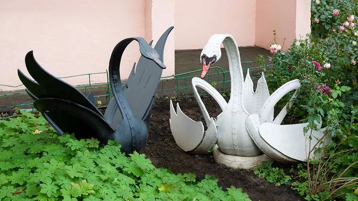 Фото: Shutterstock