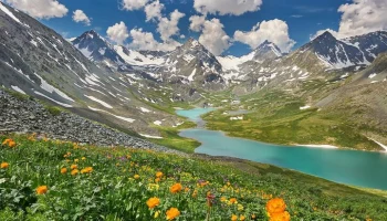 Минфин РФ предложил создать игорную зону на Алтае