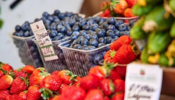 Голубика и шпинат появились на прилавках столичных ярмарок