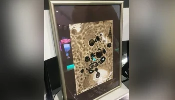 Рисующая нефтью тюменская художница номинирована на медаль имени Малевича