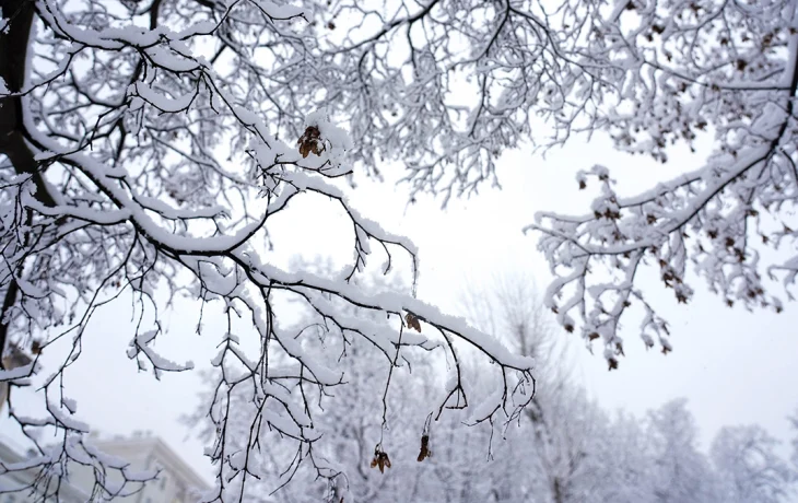 Синоптик Вильфанд рассказал, стоит ли москвичам ждать снега и морозов в марте Синоптик Вильфанд рассказал, стоит ли москвичам ждать снега и морозов в марте