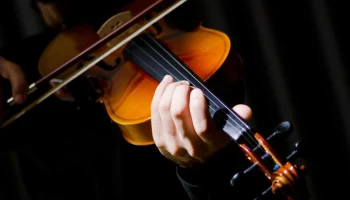 Артисты Большого симфонического оркестра прибыли из Исфахана в Тегеран