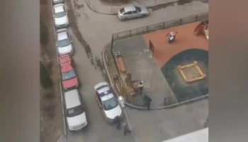 После стрельбы у детсада в ТиНАО возбуждено дело о хулиганстве