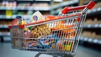 "Известия": большинство регионов поддержали развитие в России системы фудшеринга