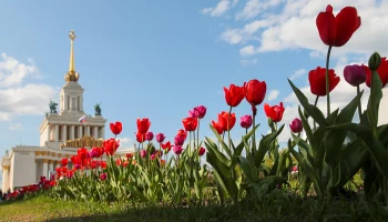 Более двух тысяч спортсменов поучаствовало в параде на ВДНХ в Москве