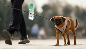 Перестроится на летний лад: синоптик Ильин рассказал, когда в Москву вернется тепло