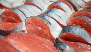 Белоруссия обошла прибрежные страны и стала основным импортером рыбы в Россию