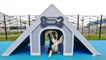 Сергунина рассказала о новых площадках проекта &laquo;Питомцы в Москве&raquo;