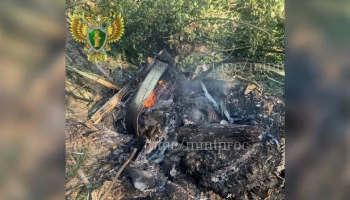 "СОГАЗ" выразил готовность выплатить компенсации за крушение SSJ 100 в Подмосковье