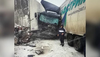 СК РФ организовал проверку после смертельного ДТП на трассе М-4 в Подмосковье