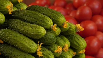 &laquo;Известия&raquo;: ФАС проверит резкое подорожание огурцов в России
