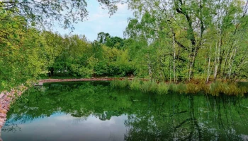 Собянин: Каскад из пяти прудов в &laquo;Сокольниках&raquo; до конца года приведут в порядок