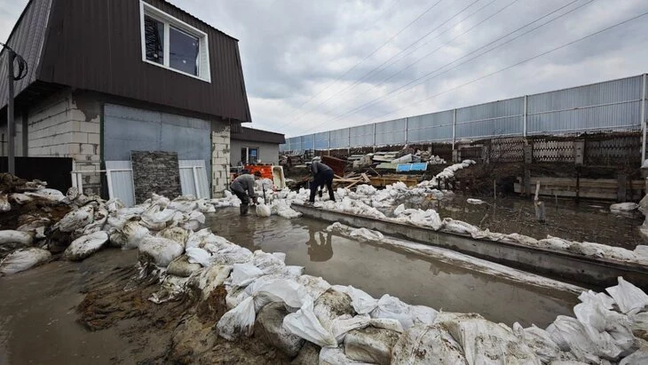 Правительство Курганской области заявило о ликвидировании протечки под дамбой Правительство Курганской области заявило о ликвидировании протечки под дамбой