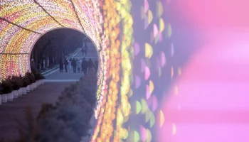 Сергей Собянин: Москва входит в число самых освещенных городов мира