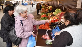 Фермерские продукты для московских ярмарок привозят более чем из 40 регионов