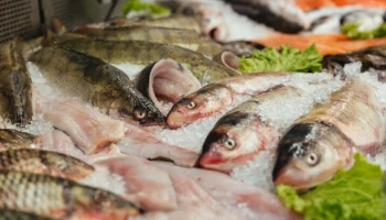 Российская рыба стала дороже импортных креветок