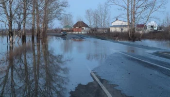 Уровень воды в реке Тобол у Кургана поднялся до 748 сантиметров