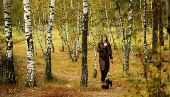 Синоптики сообщили о пасмурной погоде с небольшим дождем в Москве 19 октября