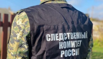 Житель Подмосковья отрубил голову подруге после ссоры и попал под машину