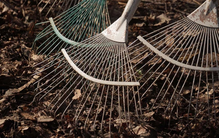 Дети из «Движения первых» при столичной школе № 1391 проведут субботник 11 апреля Дети из «Движения первых» при столичной школе № 1391 проведут субботник 11 апреля