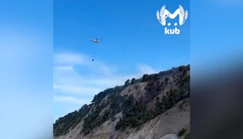 Пожар в бухте Инал в Краснодарском крае локализован на площади 1,2 гектара