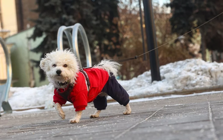 Передышка перед морозом: метеоролог Позднякова рассказала о погоде в Москве на выходных Передышка перед морозом: метеоролог Позднякова рассказала о погоде в Москве на выходных