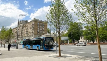 Собянин: более 400 деревьев высадили на исторической части Ленинского проспекта