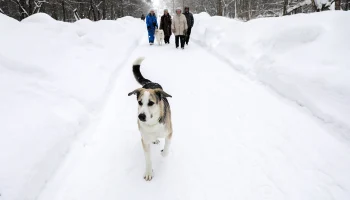 Синоптик Леус рассказал о погоде в районе Пермского края, где пропали туристы