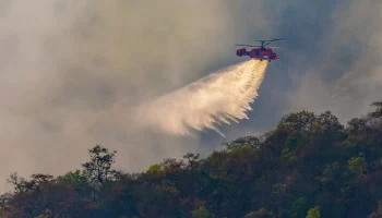21 лесной пожар зафиксирован вблизи населенных пунктов России