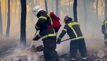 Природный пожар в Станично-Луганском районе ЛНР потушен
