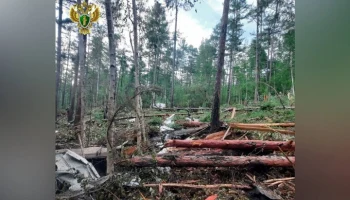 Минтранс сообщил об обнаружении бортовых самописцев упавшего Ан-24