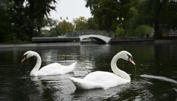 В майские выходные в московских парках пройдет насыщенная программа