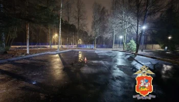 Дело возбуждено по факту гибели ребенка под машиной матери в Пушкине