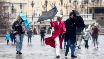 Парки Москвы начали временно закрываться из-за сильного ветра