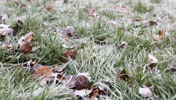 &laquo;Оранжевый&raquo; уровень погодной опасности продлили в Москве из-за заморозков