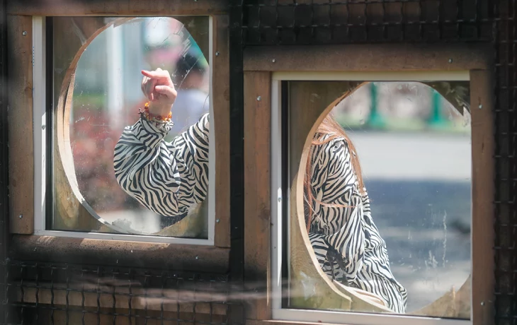 Появилась возможность наблюдать за обитателями Московского зоопарка онлайн Появилась возможность наблюдать за обитателями Московского зоопарка онлайн