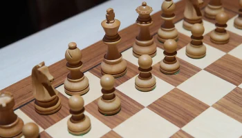 Российские шахматистки выиграли командный чемпионат мира в Линаресе