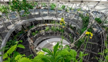 "Активные граждане" выберут самую живописную оранжерею столицы