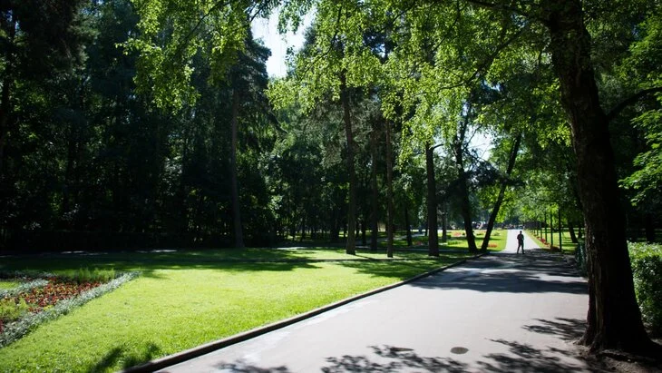 Более 1 100 парков и других зеленых зон привели в порядок и создали в Москве с 2011 года Более 1 100 парков и других зеленых зон привели в порядок и создали в Москве с 2011 года