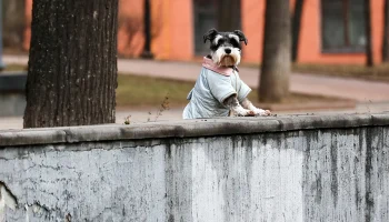 Синоптик Леус заявил, что в Москве замедлилось таяние снега