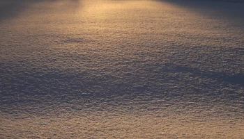 Москвичам рассказали, когда в городе полностью растает снег