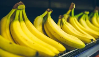 Первый урожай бананов в Ставрополье планируется собрать в 2026 году