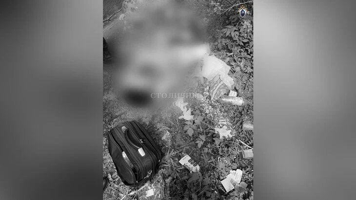 Задержан подозреваемый в убийстве девушки на северо-востоке Москвы Задержан подозреваемый в убийстве девушки на северо-востоке Москвы