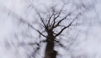 Спасатели возобновили поиски пропавшей семьи Усольцевых под Красноярском