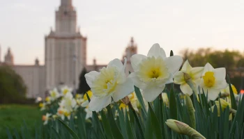 Аномально высокие значения: как долго продлится тепло в Москве