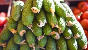 Депутат Миронов отметил, что огурцы стоят дороже тропических фруктов